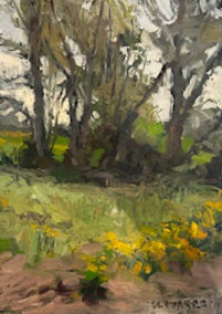 Island Park II Sarasota 11x14