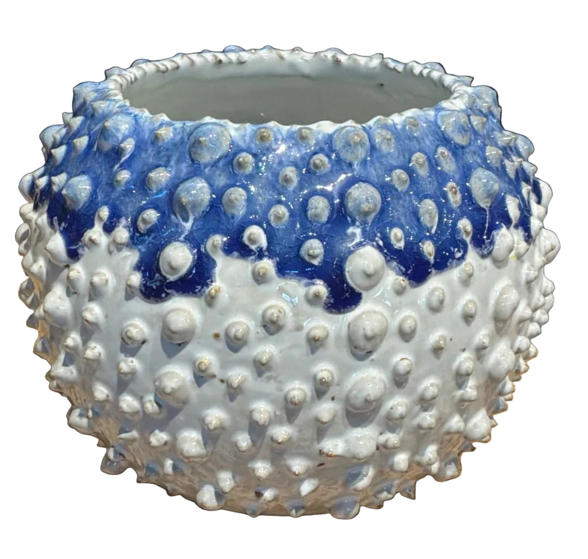 Blue and White Vase