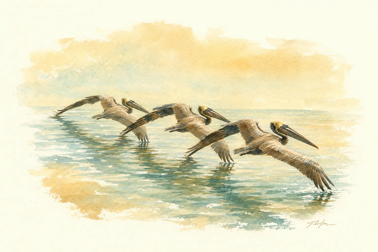 Watercolor of three pelicans gliding low over glassy gulf water