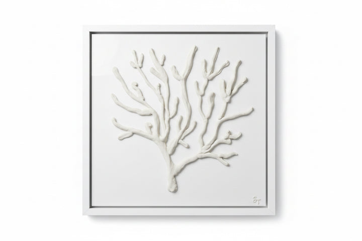 Coral 12x12