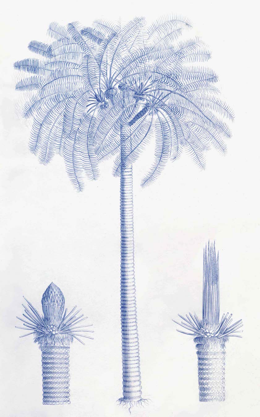 Malabar Garden Blue/2500B