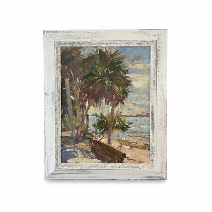 White wash palms on beach